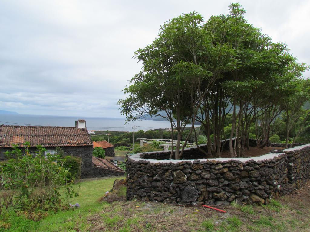 Casas De Campo Housesinpico Prainha  Dış mekan fotoğraf