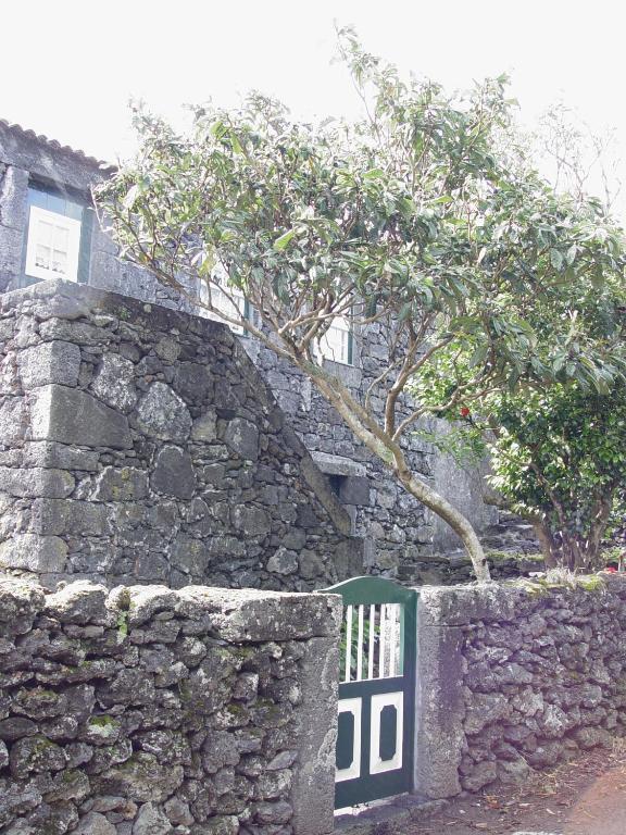Casas De Campo Housesinpico Prainha  Dış mekan fotoğraf